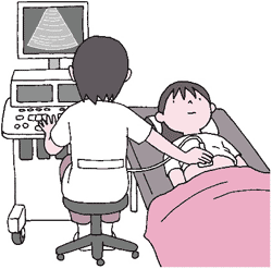 腹部超音波検査(腹部エコー)