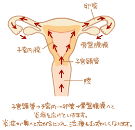 図