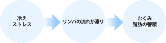 リンパの流れ